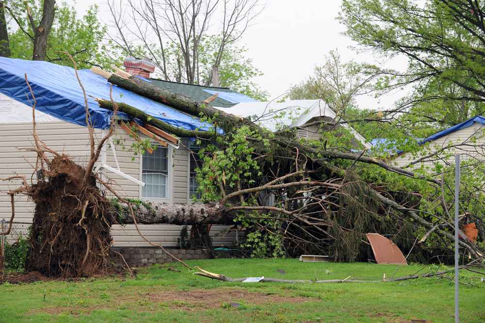 trusted storm damage restoration expert in Indianapolis