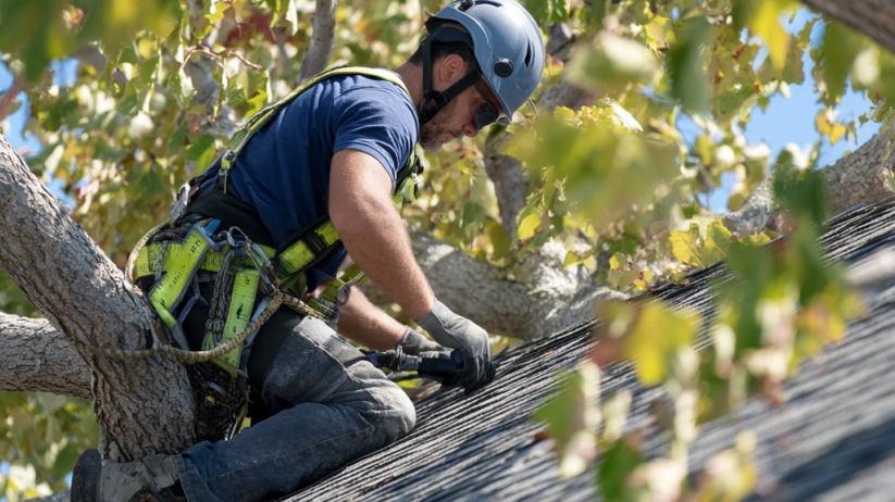 Trusted Roof Trimming Expert in Indianapolis